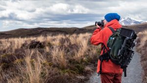 Read more about the article Capturing The Beauty of Grassland